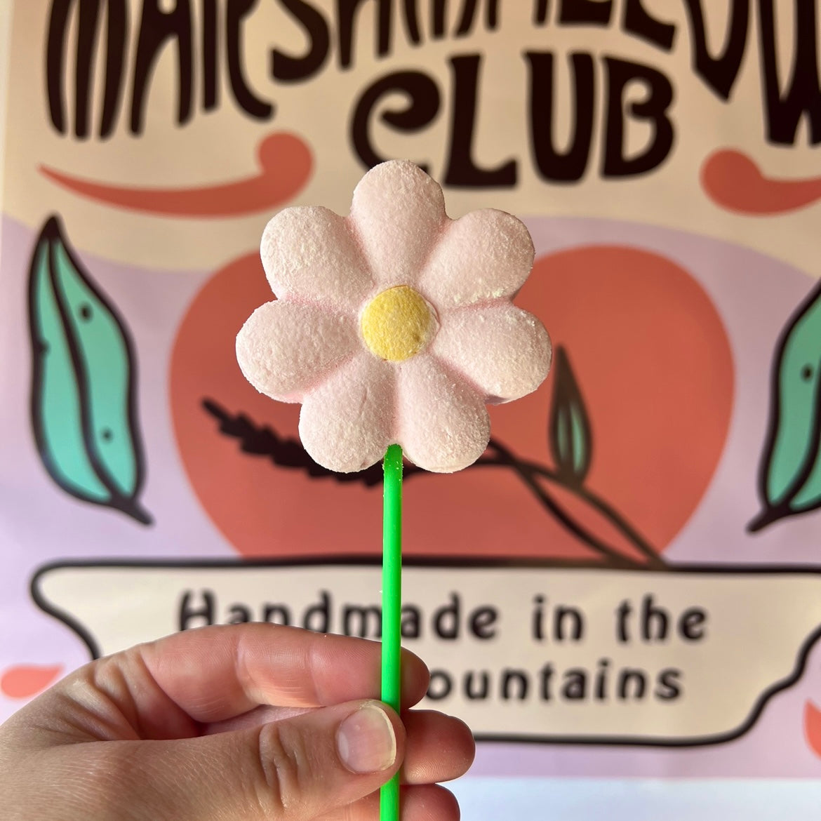 Strawberry Marshmallow Daisy Pop