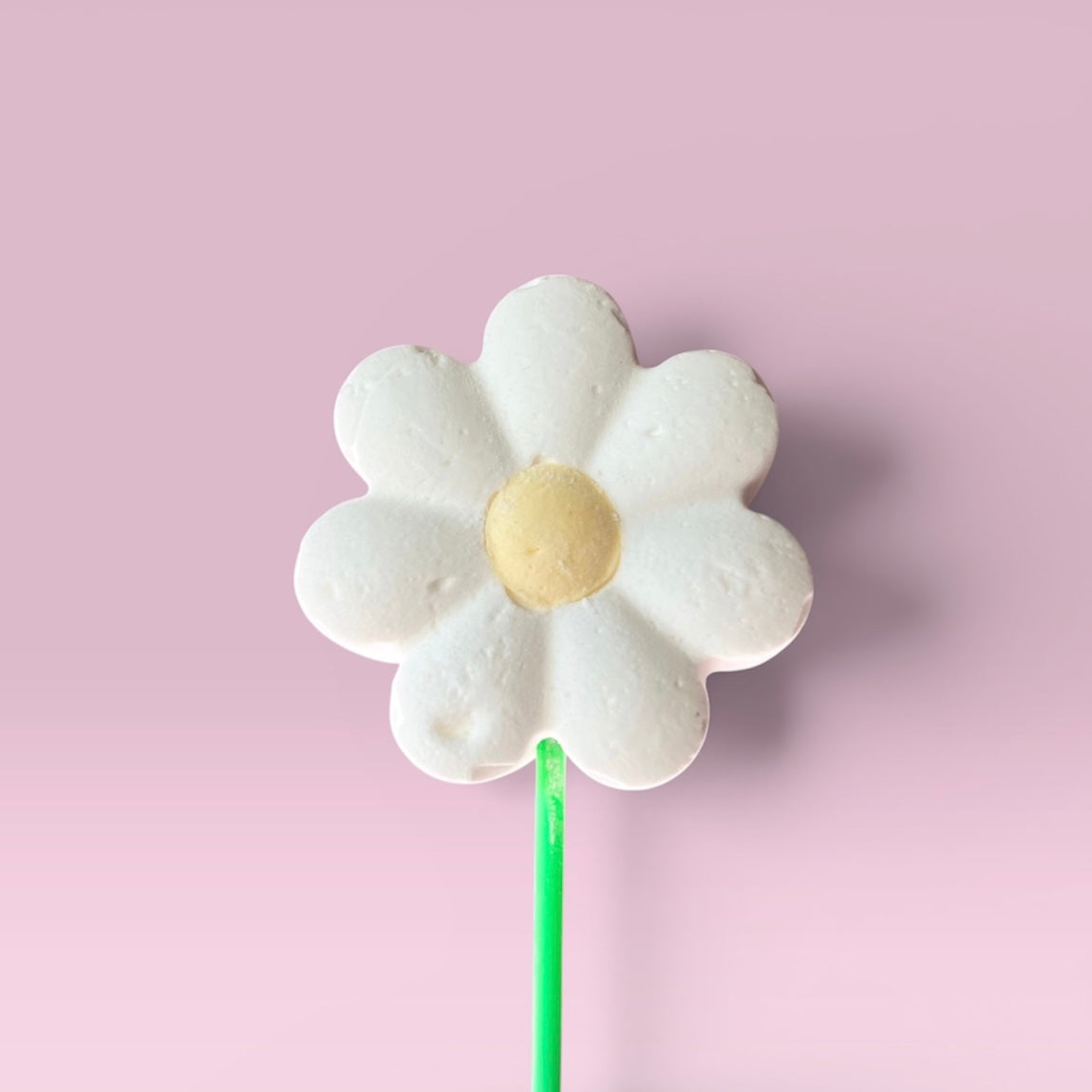Marshmallow Daisy Pop against a pink background