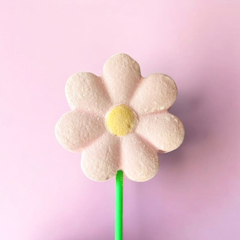 Marshmallow Daisy Pop on a pink background