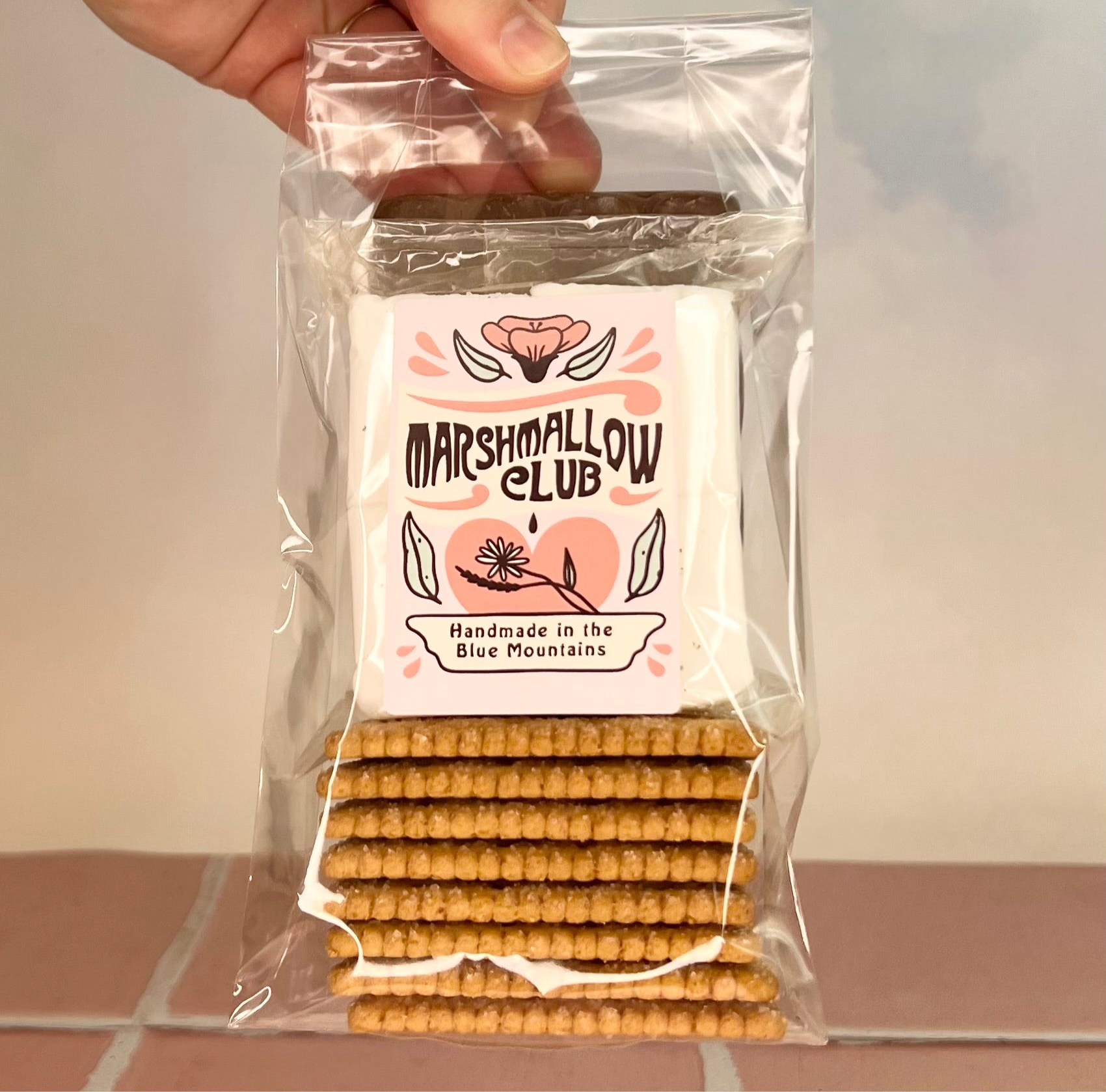 S’mores ingredients 