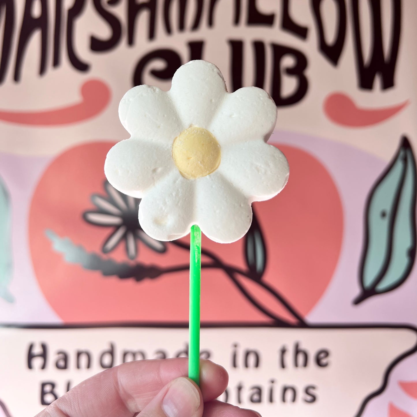 Marshmallow Pops