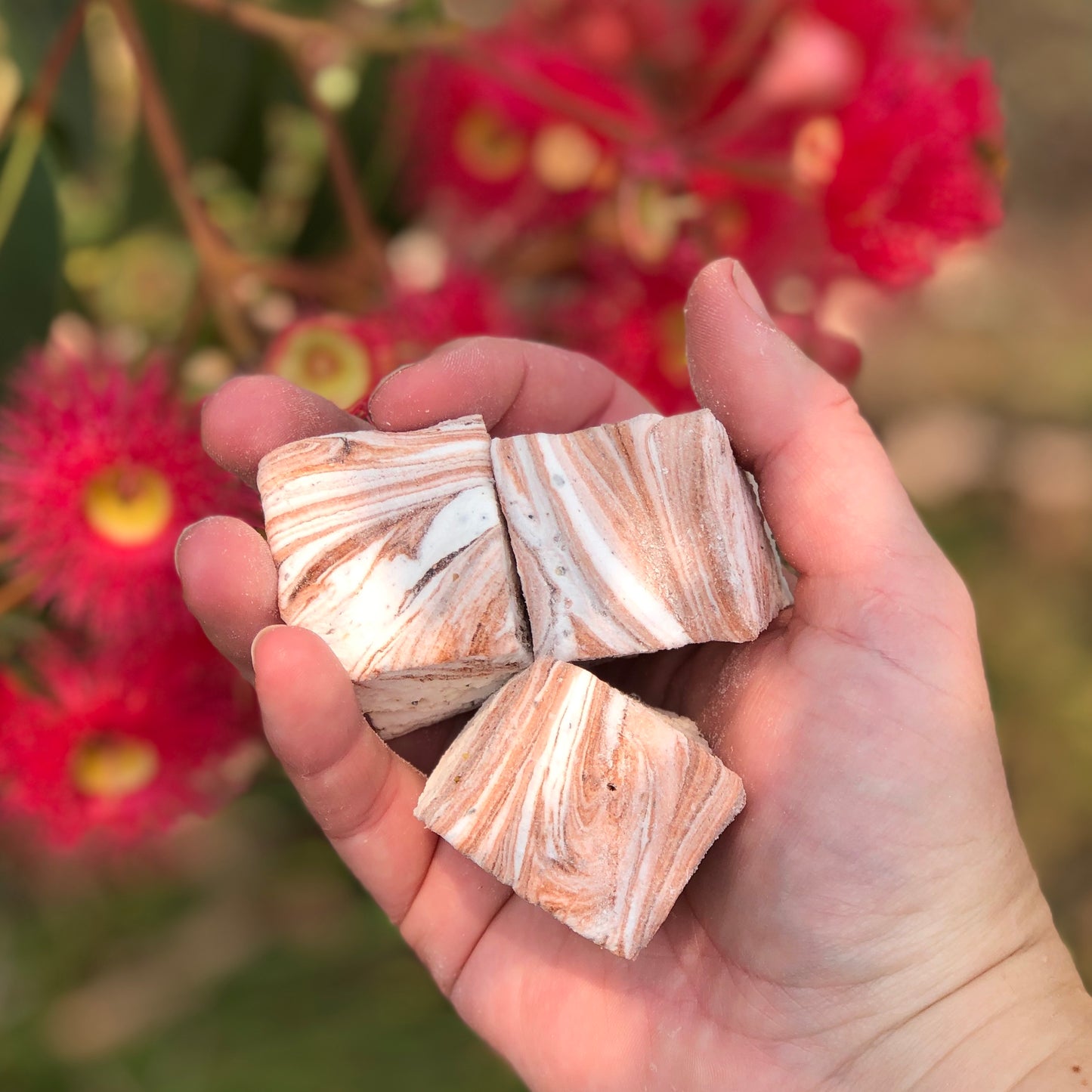 Handmade Wattleseed Marshmallows