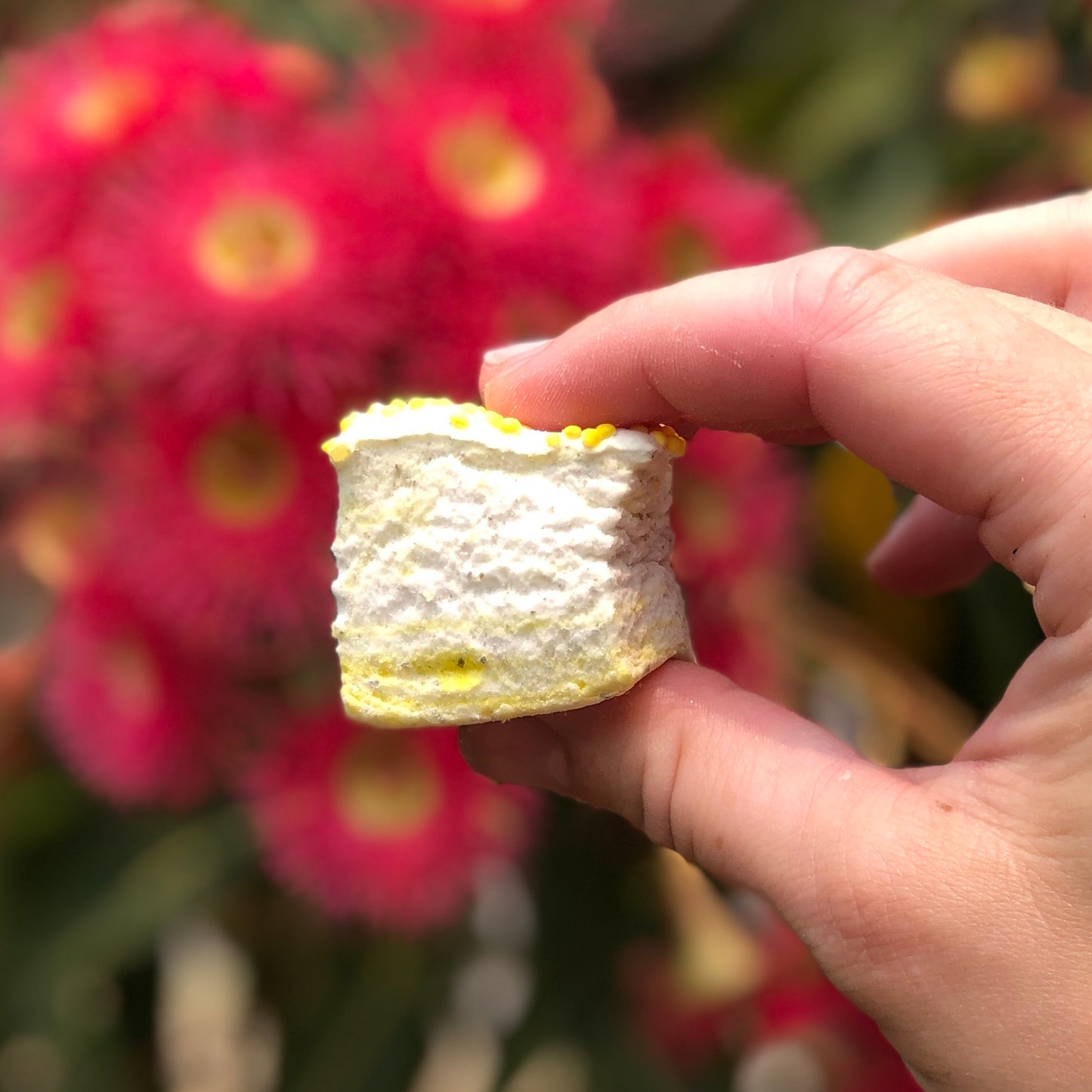 Handmade Lemon Myrtle Marshmallows